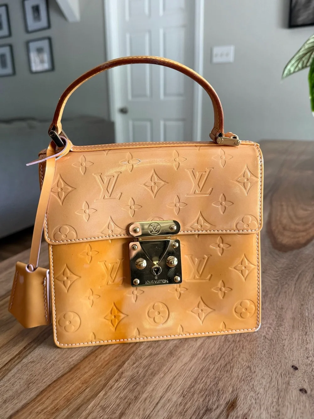 Louis Vuitton Monogram Spring Street
